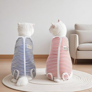 宠物猫咪绝育服猫咪产后衣服